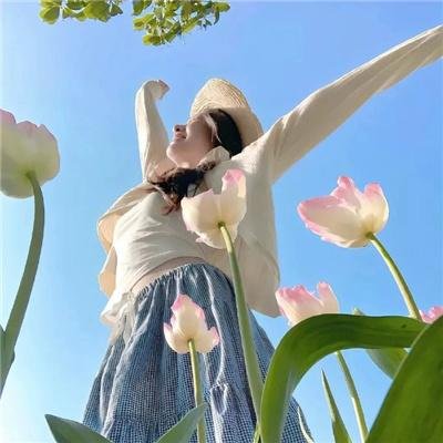 芫荽与欧芹海报