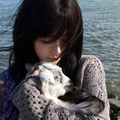 速度与激情:特别行动海报